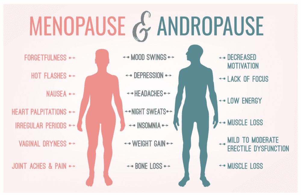 Illustration comparing the hormonal changes of menopause in women and gradual testosterone decline in men.
