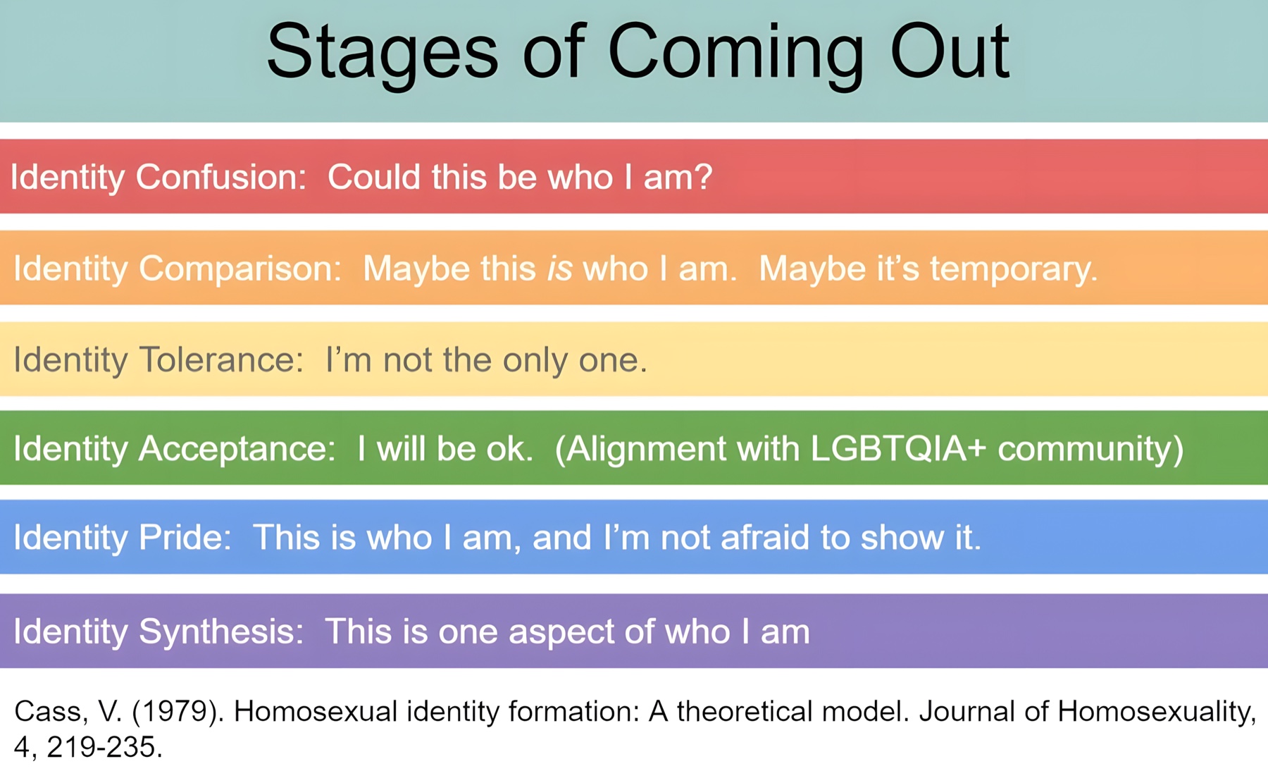 A diagram of the six stages of the Cass Identity Model: identity confusion, comparison, tolerance, acceptance, pride, and synthesis.