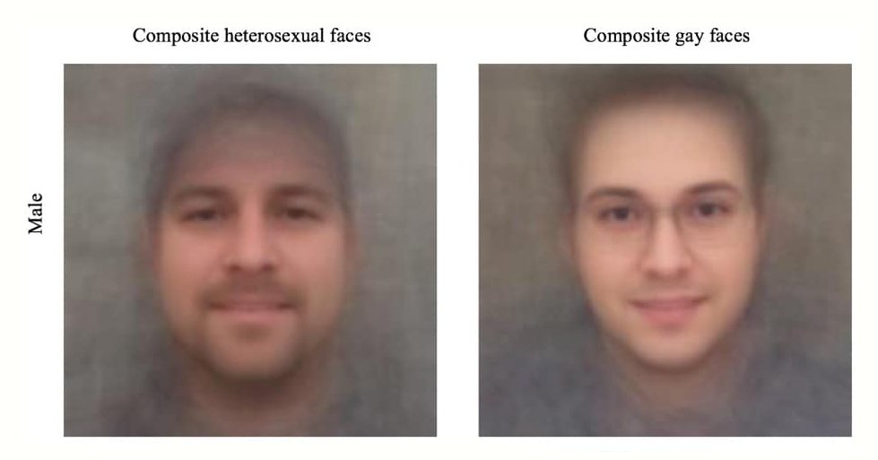 Composite face images used in gaydar research, illustrating that people can guess orientation from faces at rates slightly better than chance.