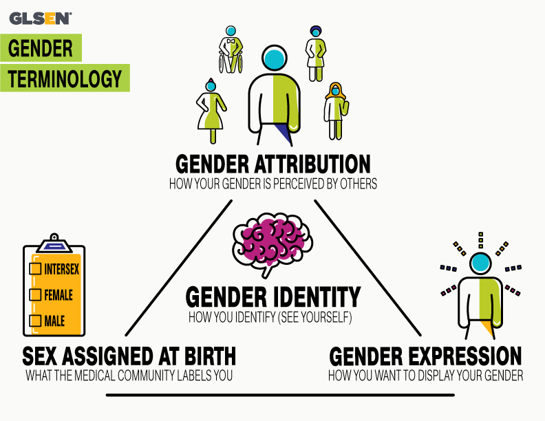 An explainer graphic distinguishing sexual orientation, who a person is attracted to, from gender identity, a person's internal sense of their own gender.
