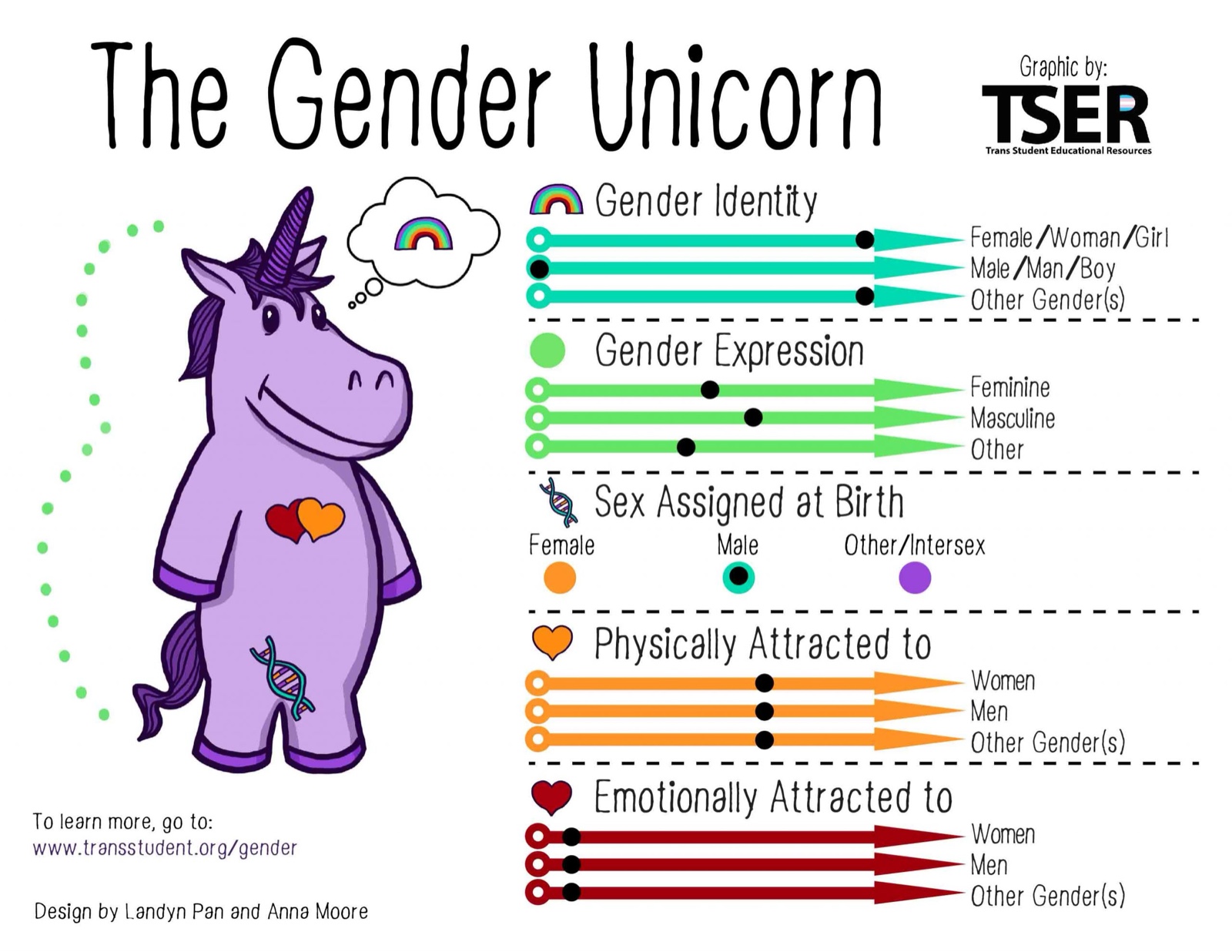 The 'Gender Unicorn' infographic showing gender identity, gender expression, sex assigned at birth, and physical and emotional attraction as separate spectrums.