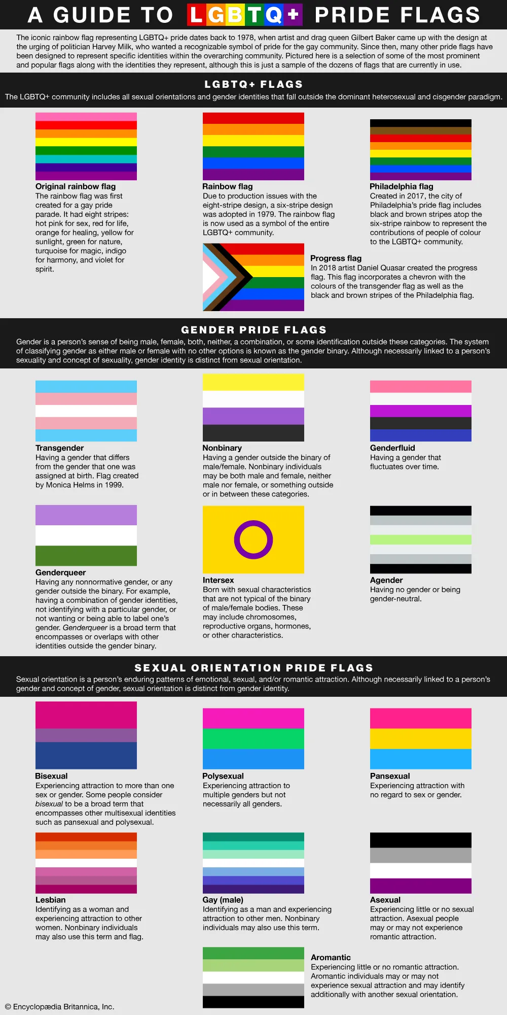A guide to pride flags, showing the many different flags used by identities across the LGBTQ+ community.