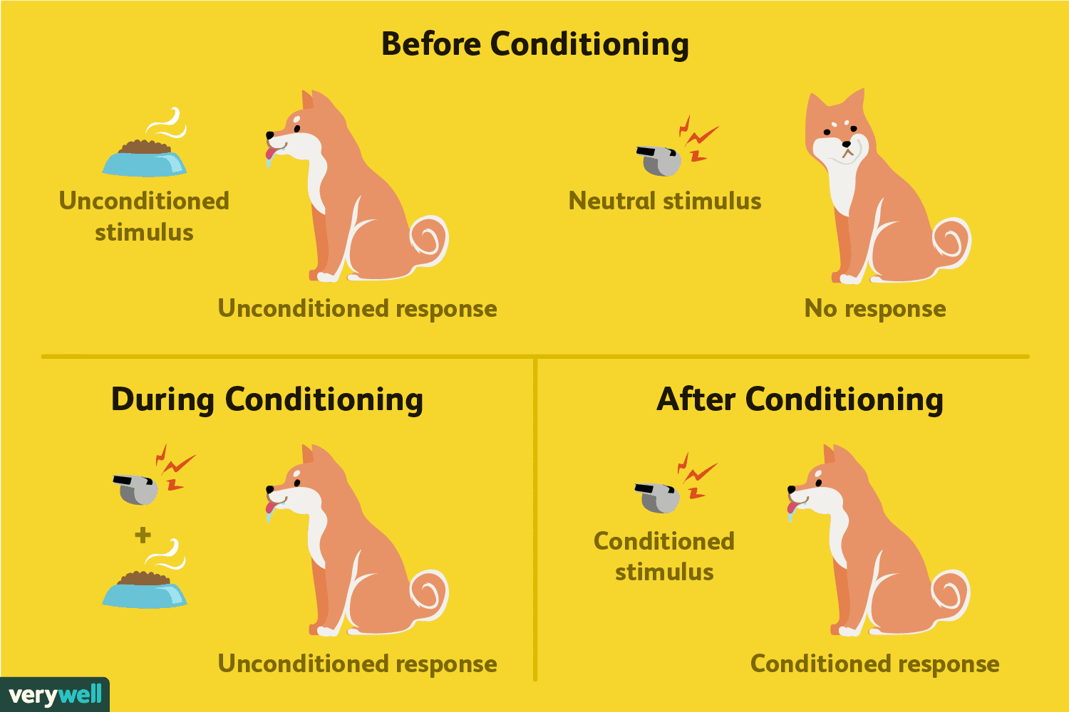 A diagram of classical conditioning: a neutral stimulus paired repeatedly with an arousing one eventually triggers arousal on its own.