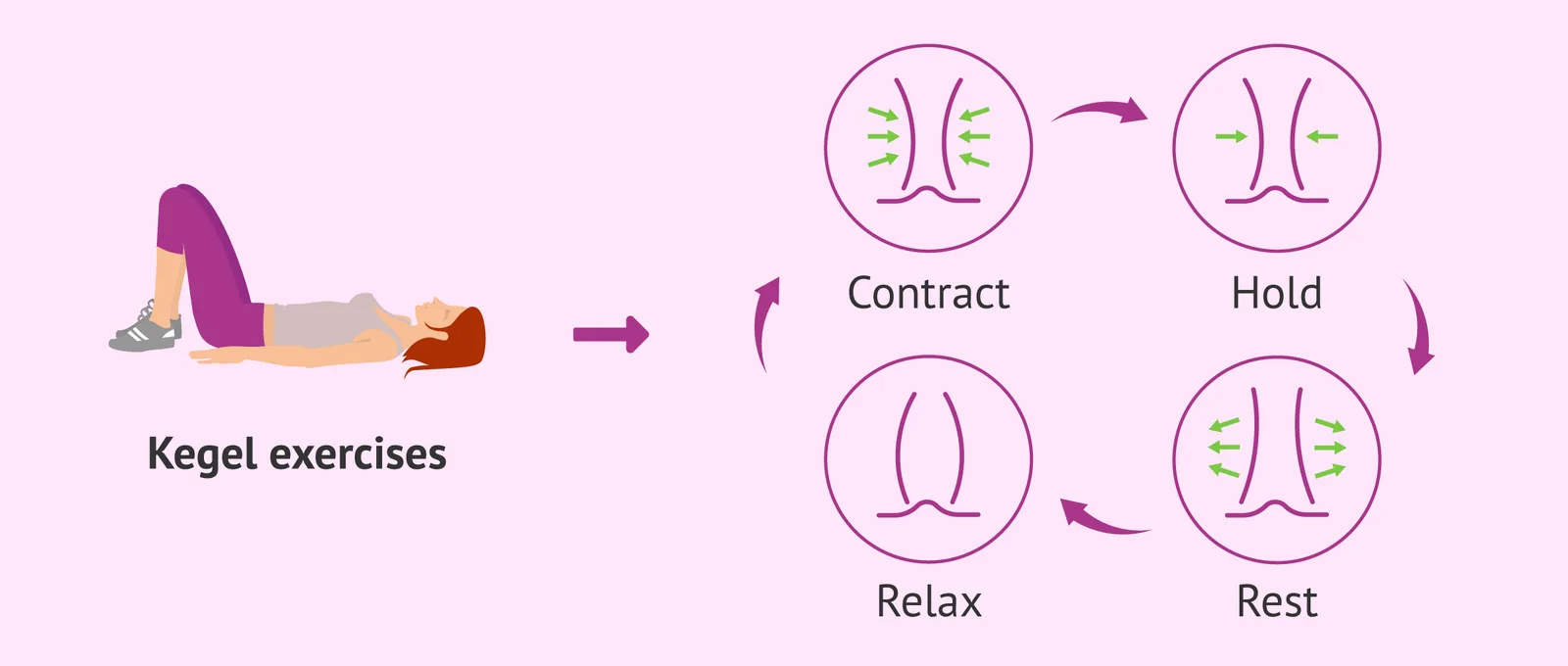 An instructional diagram demonstrating how to locate and perform Kegel exercises by tightening the pelvic floor muscles.