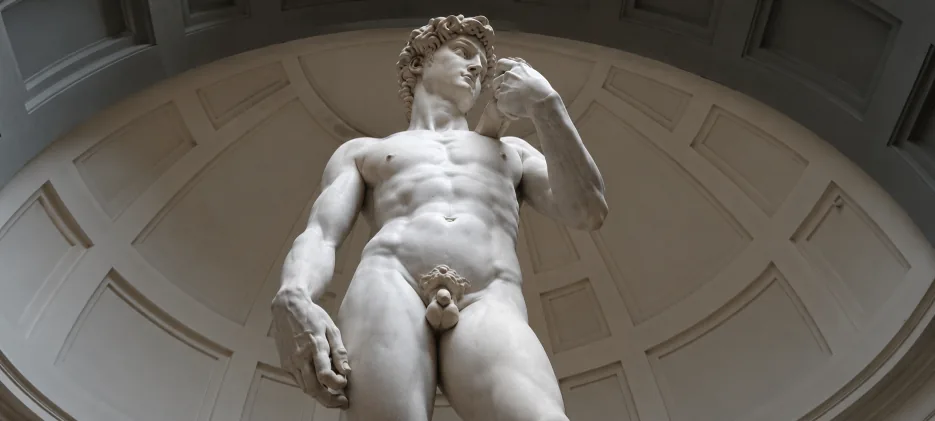 Artistic banner image representing the topic of male sexual anatomy.