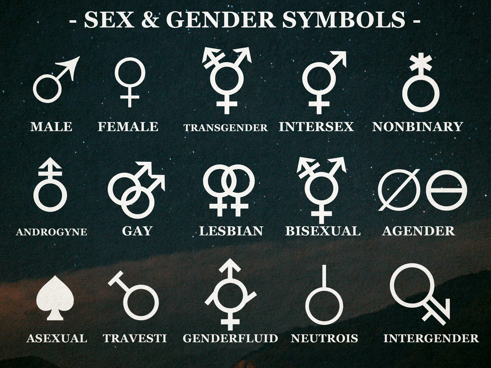 Male and female gender symbols alongside variations representing other gender identities.