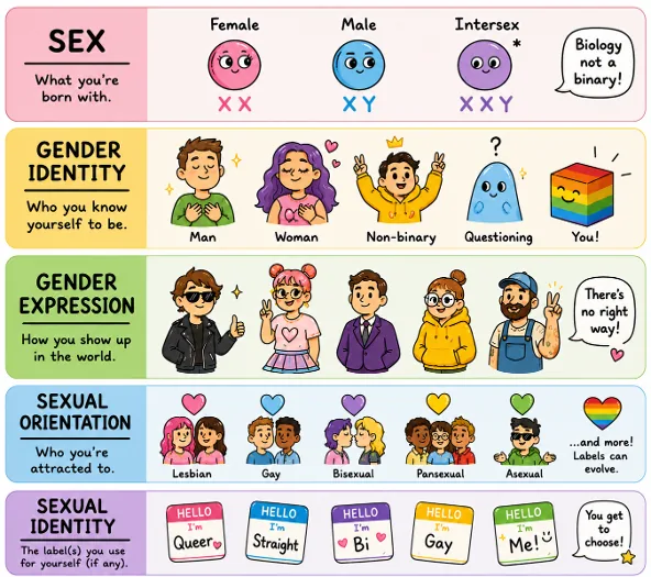 A diagram showing sexual identity as an umbrella encompassing biological sex, gender identity, and sexual orientation.
