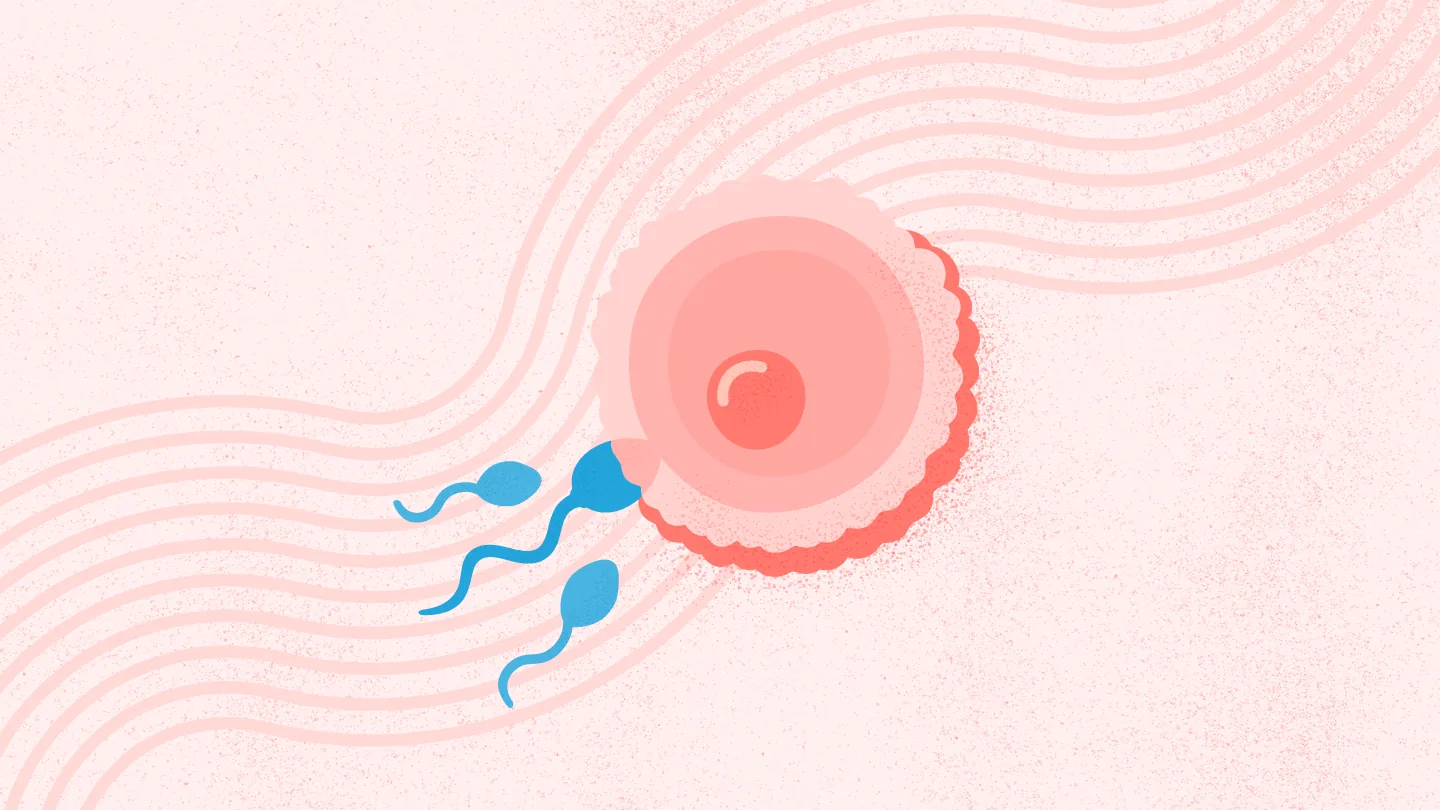 Chapter banner illustrating the theme of fertility.