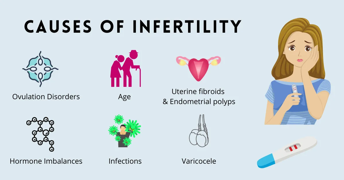 Chart of the major causes of female infertility.