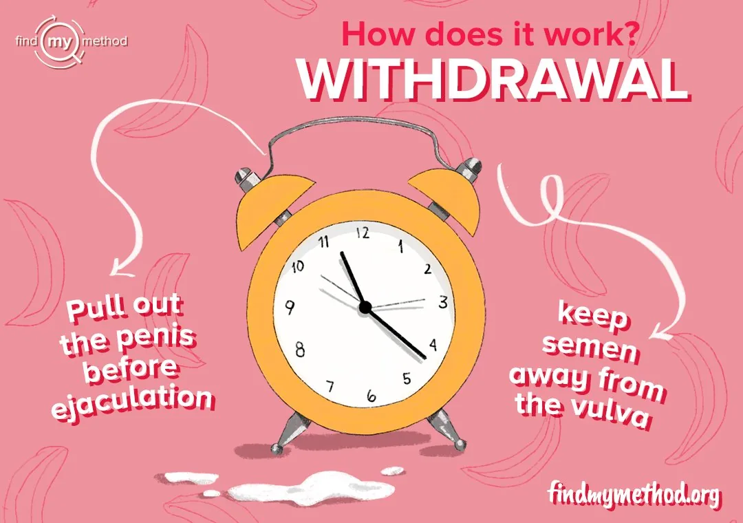 Illustration of the withdrawal (pull-out) method.