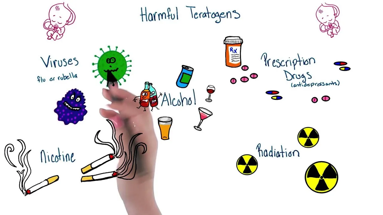 Illustration of common teratogens such as alcohol, tobacco, and certain drugs that can harm fetal development.