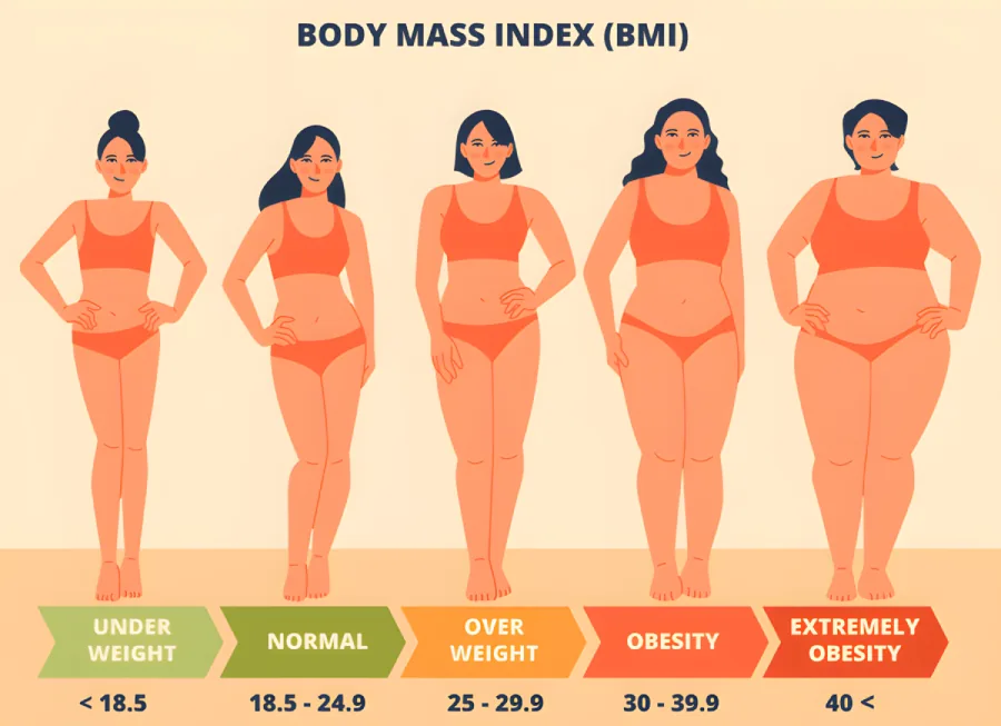 A distribution chart showing the range of body mass index values among women.