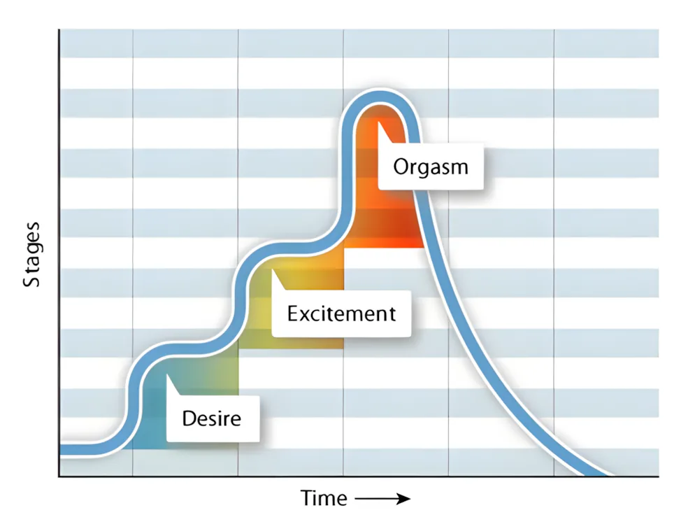 A diagram of Kaplan's triphasic model showing desire, excitement, and orgasm as three components of sexual response.