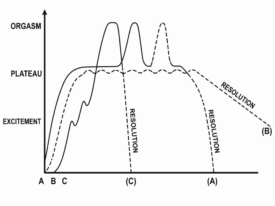 A graph showing three variations of the female sexual response: pattern A with multiple orgasms, pattern B reaching a high plateau without orgasm, and pattern C with wave-like ups and downs.