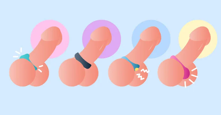 Illustration of several styles of cock ring worn at the base of the penis.
